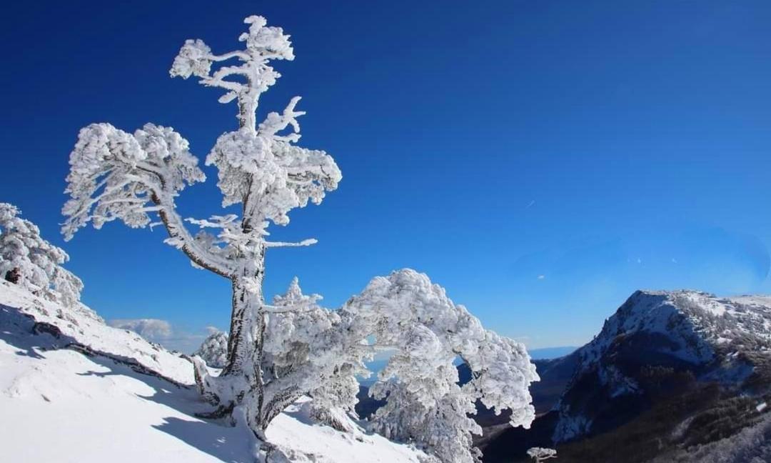 Mille E Una Notte San Severino Lucano Dış mekan fotoğraf